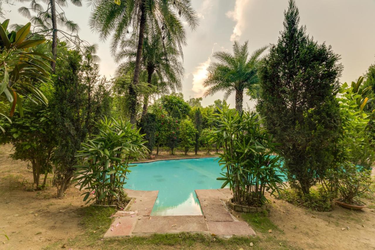Hostie Chinar Haveli - Heritage Home With Pool, คูร์เคาน์ ภายนอก รูปภาพ